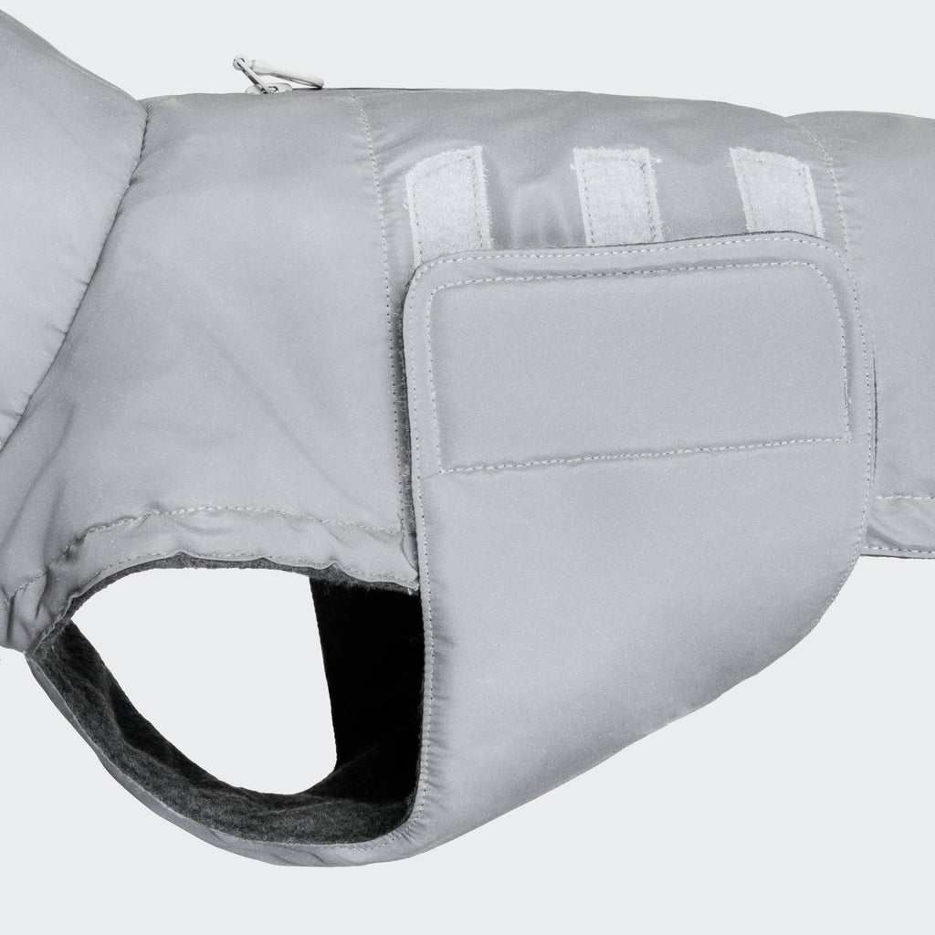 Dachshund Coat Brooklyn Reflective product image