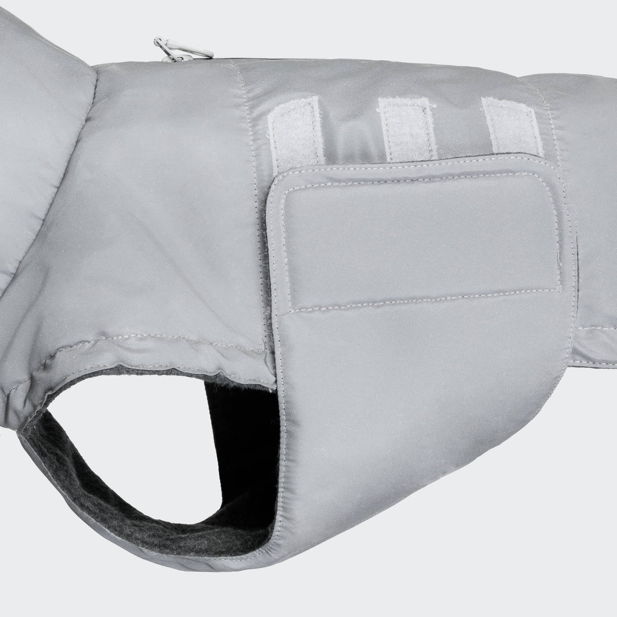 Dachshund Coat Brooklyn Reflective product image