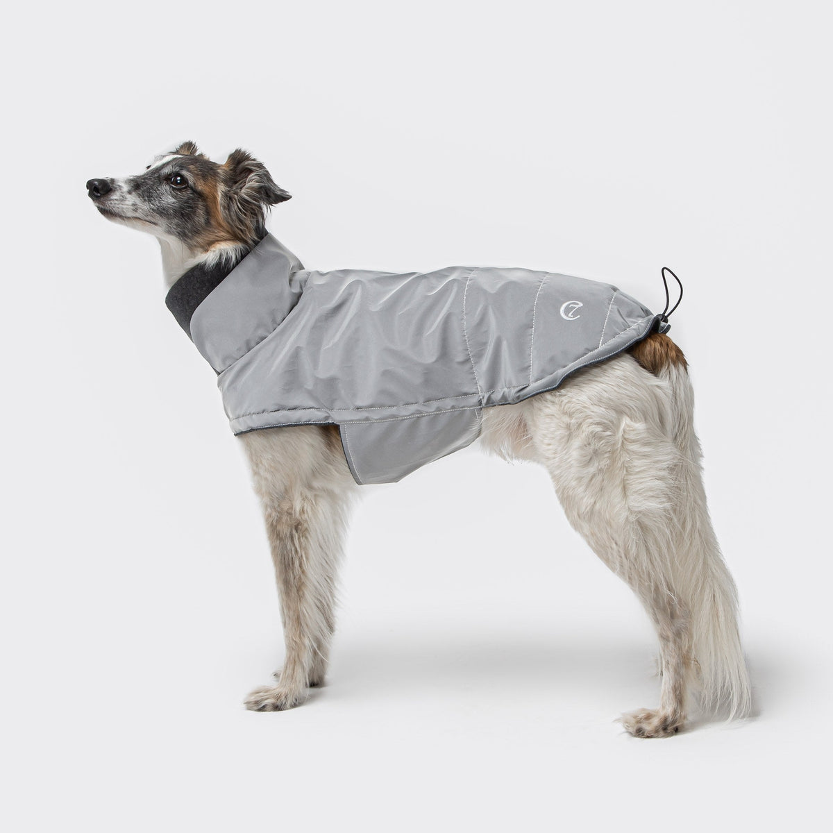 Dog Coat Brooklyn Reflective product image