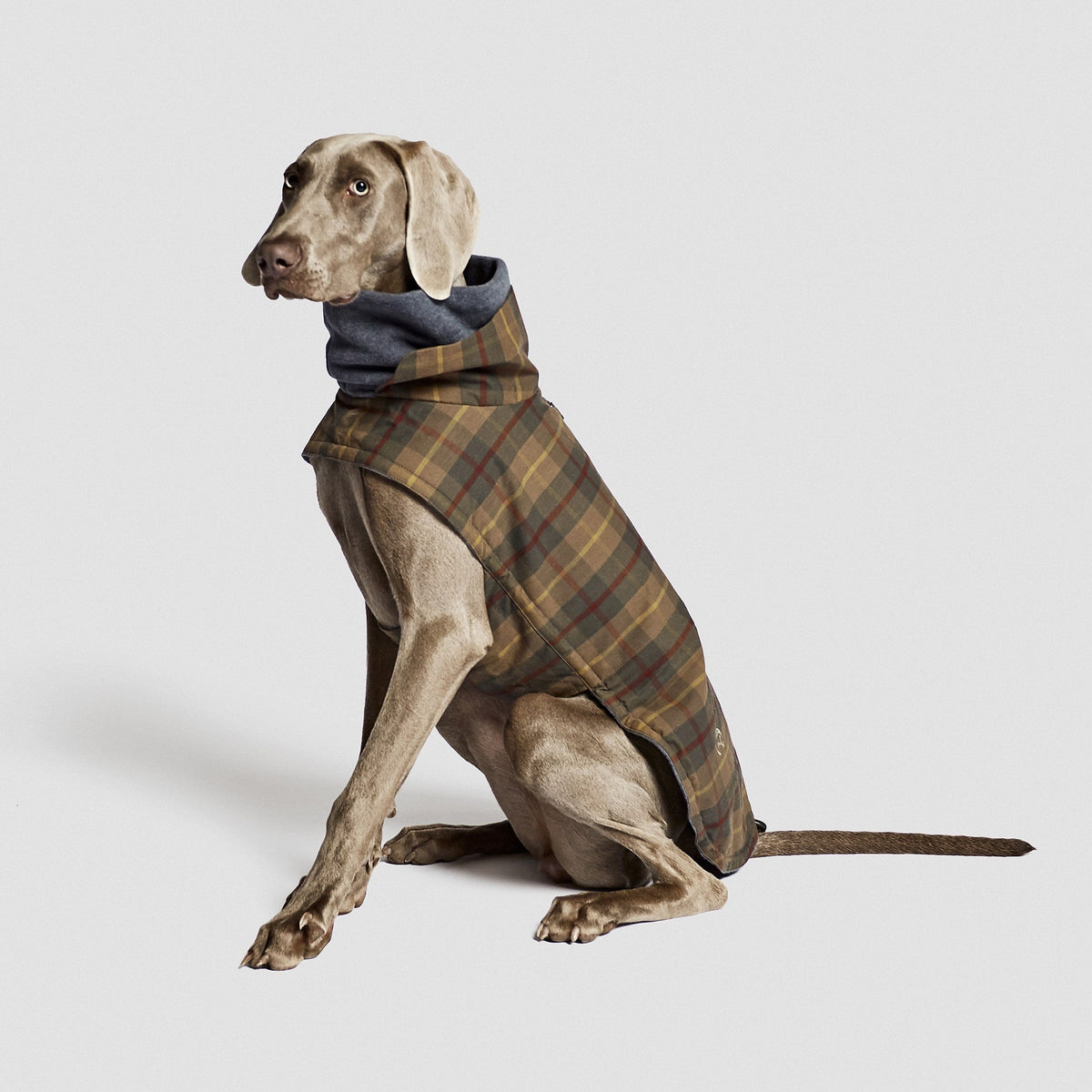 Dog Coat Brooklyn Waxed Tartan product image