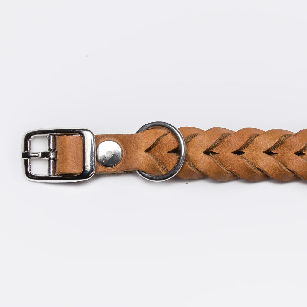 Dog Collar Central Park Camel Silver product image
