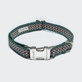 Dog Collar Click Prater Forest product image