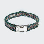 Dog Collar Click Prater Forest product image