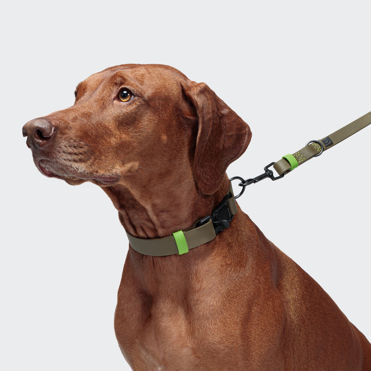 Dog Collar BioThane Ipanema Olive-Neon Green product image