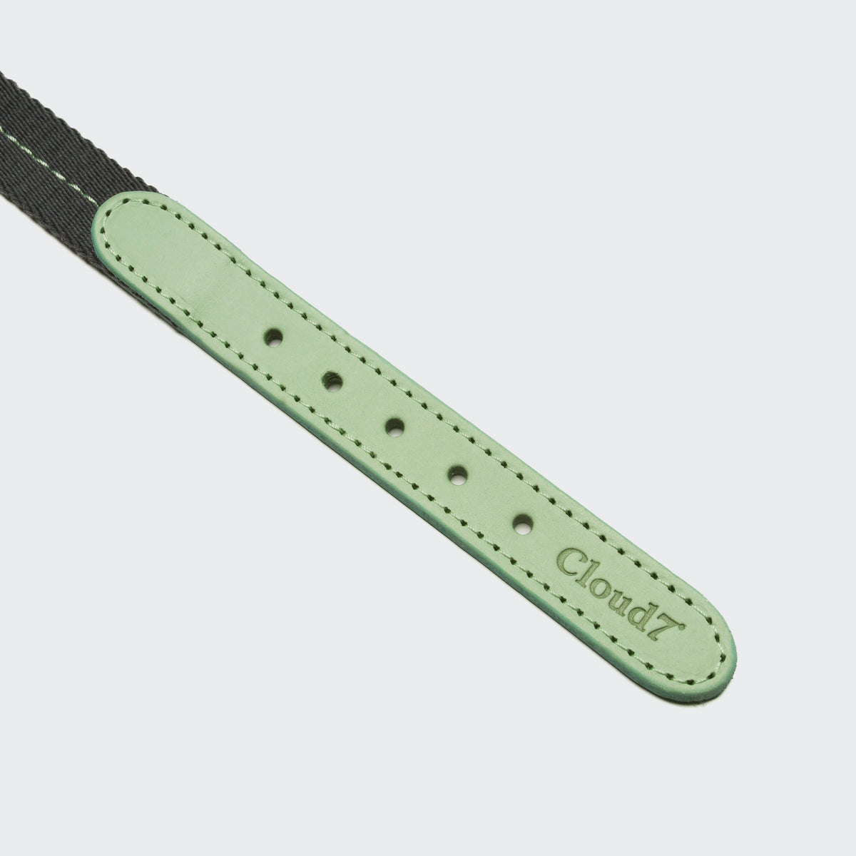 Dog Collar Madeira Mint product image