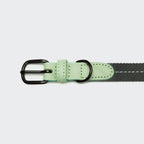 Dog Collar Madeira Mint product image