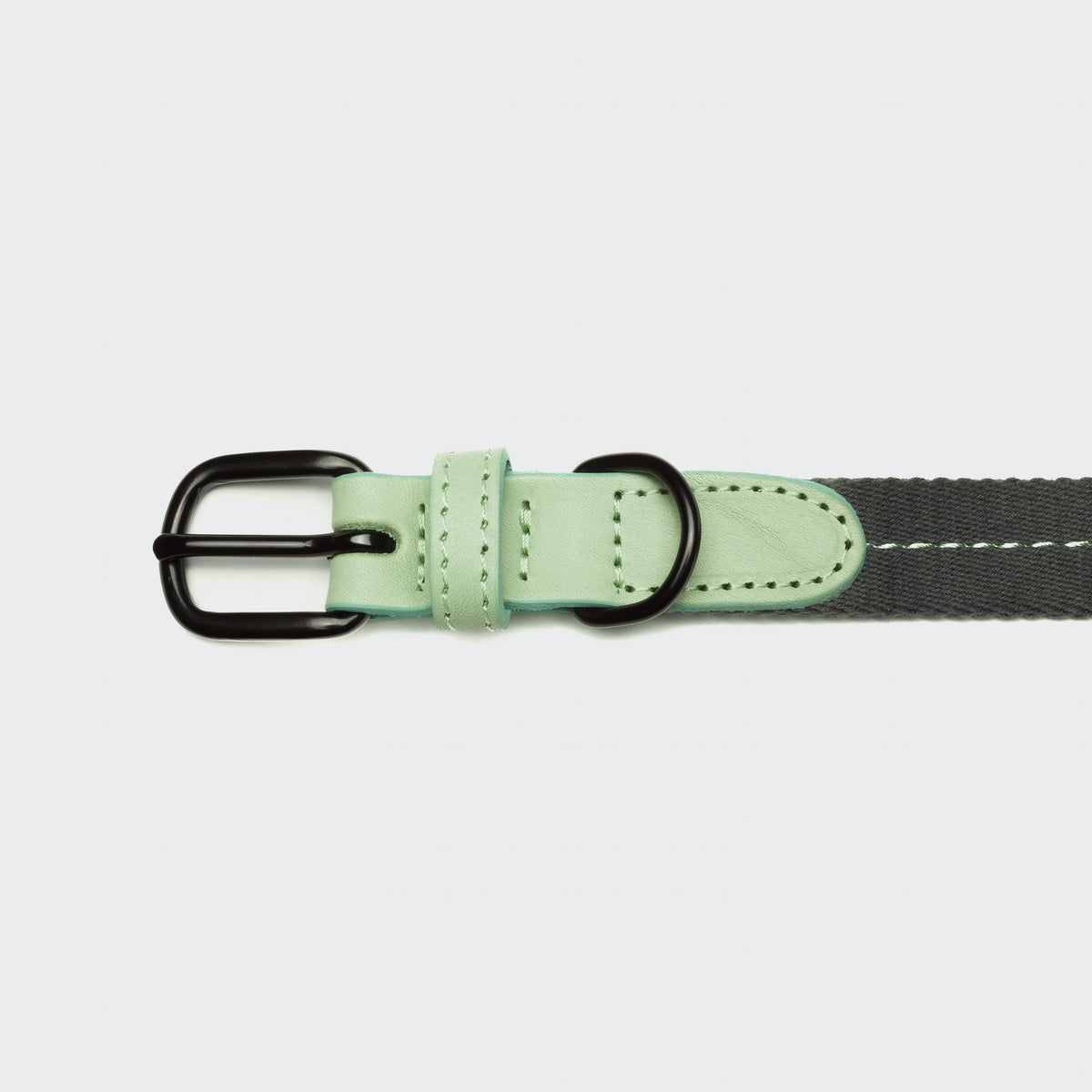 Dog Collar Madeira Mint product image