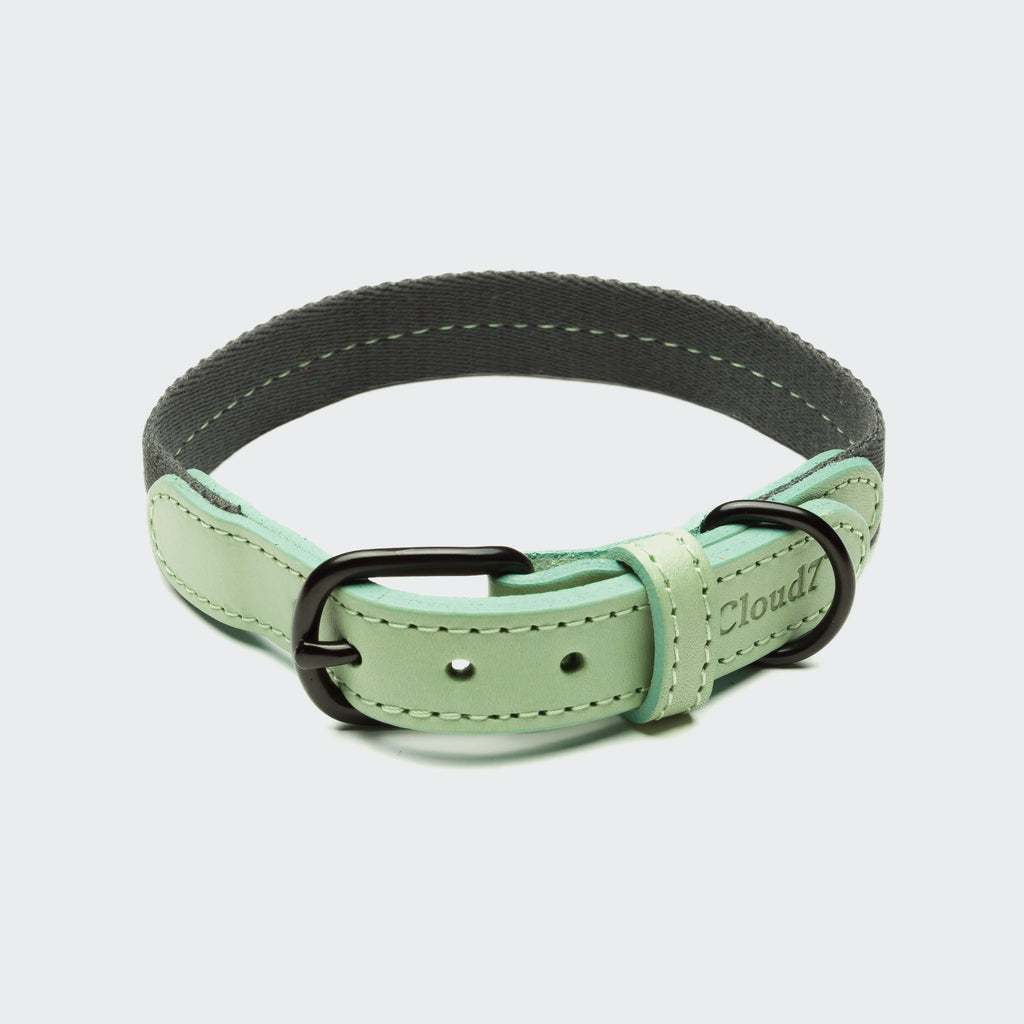 Dog Collar Madeira Mint product image