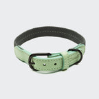 Dog Collar Madeira Mint product image