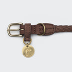 Dog Collar Ravello Hazel product image