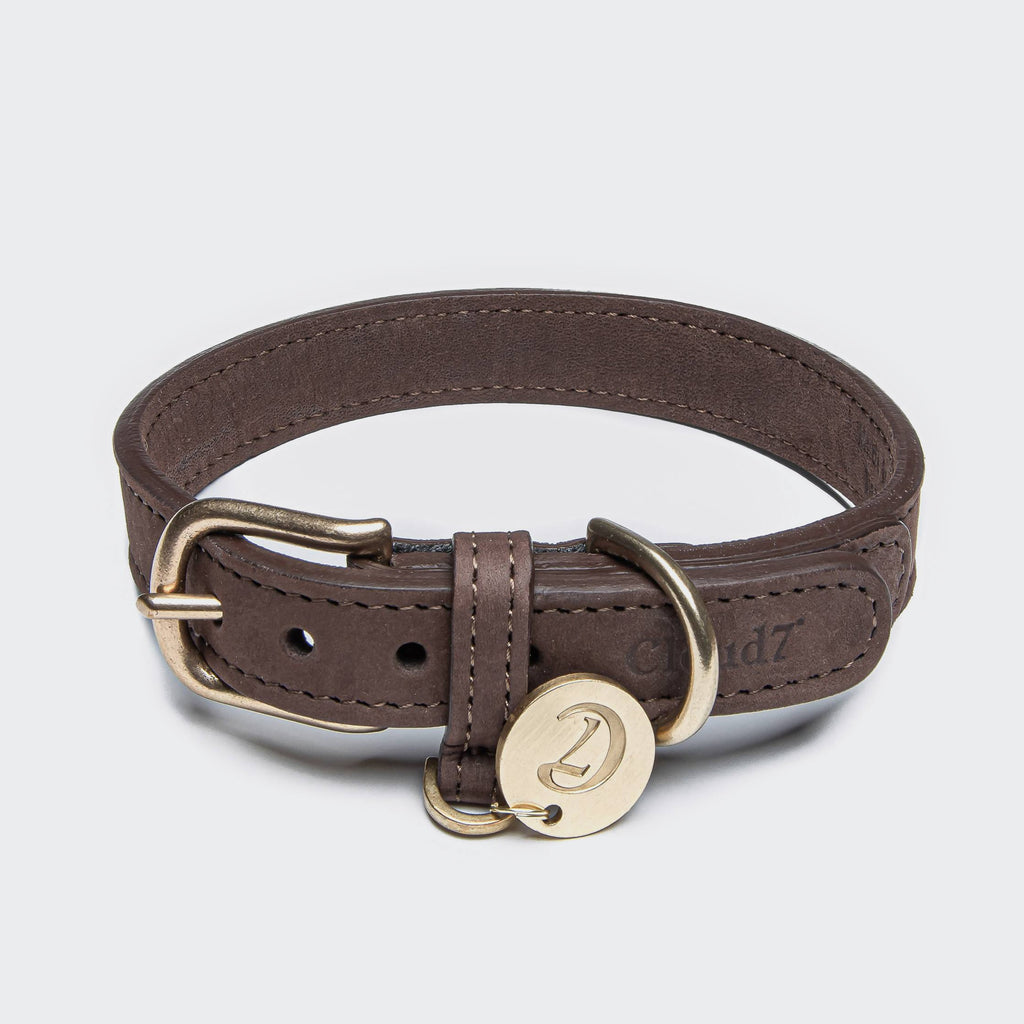 Dog Collar Tiergarten Mocca product image