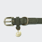 Dog Collar Tiergarten Moss product image
