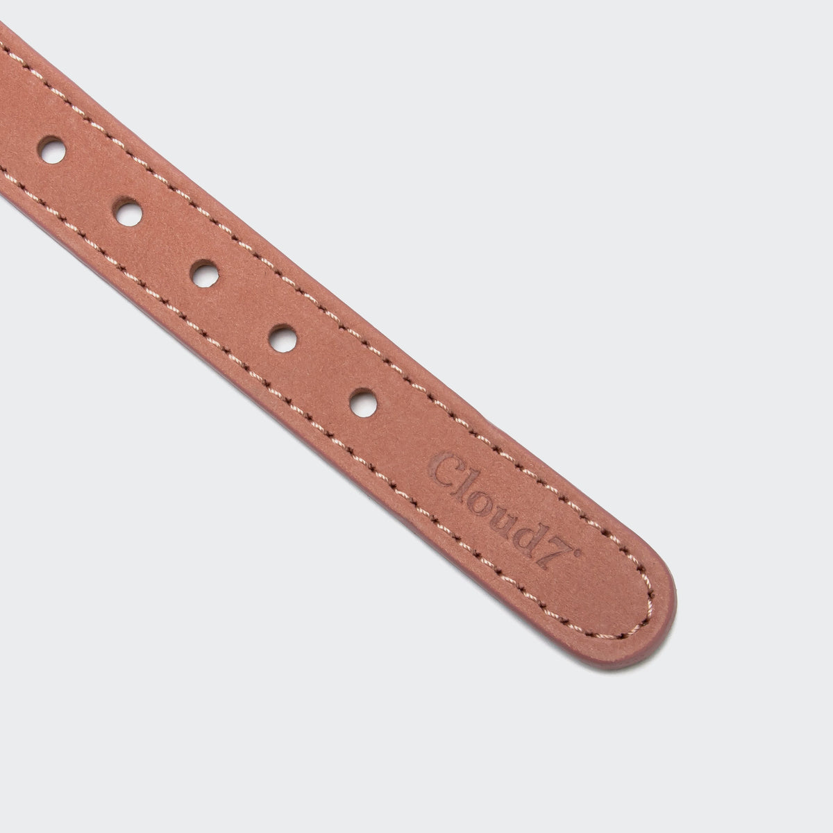 Dog Collar Tiergarten Peach product image