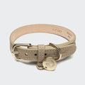 Dog Collar Tiergarten Sandy product image