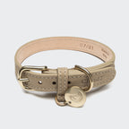 Dog Collar Tiergarten Sandy product image