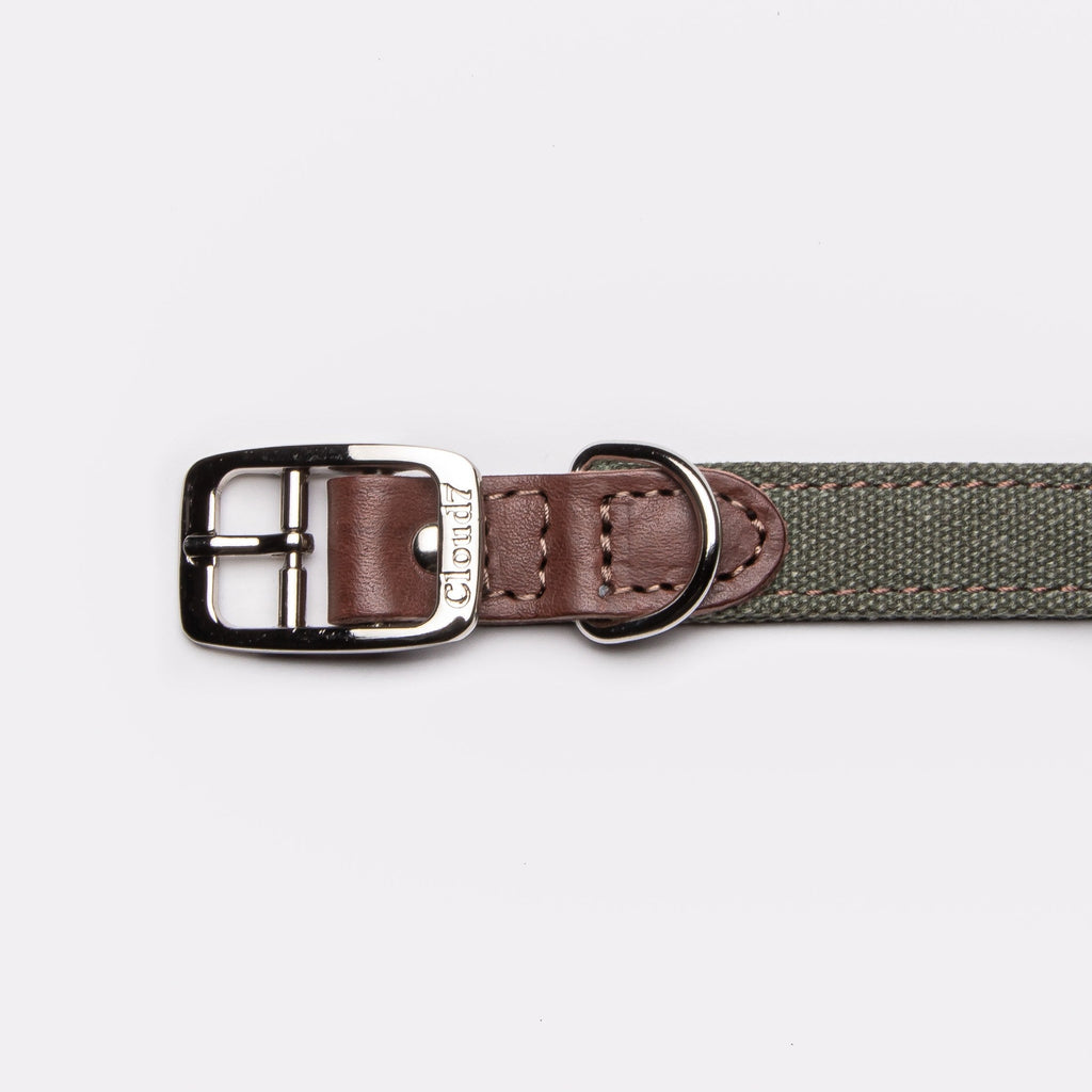 Dog Collar Tivoli Olive product image