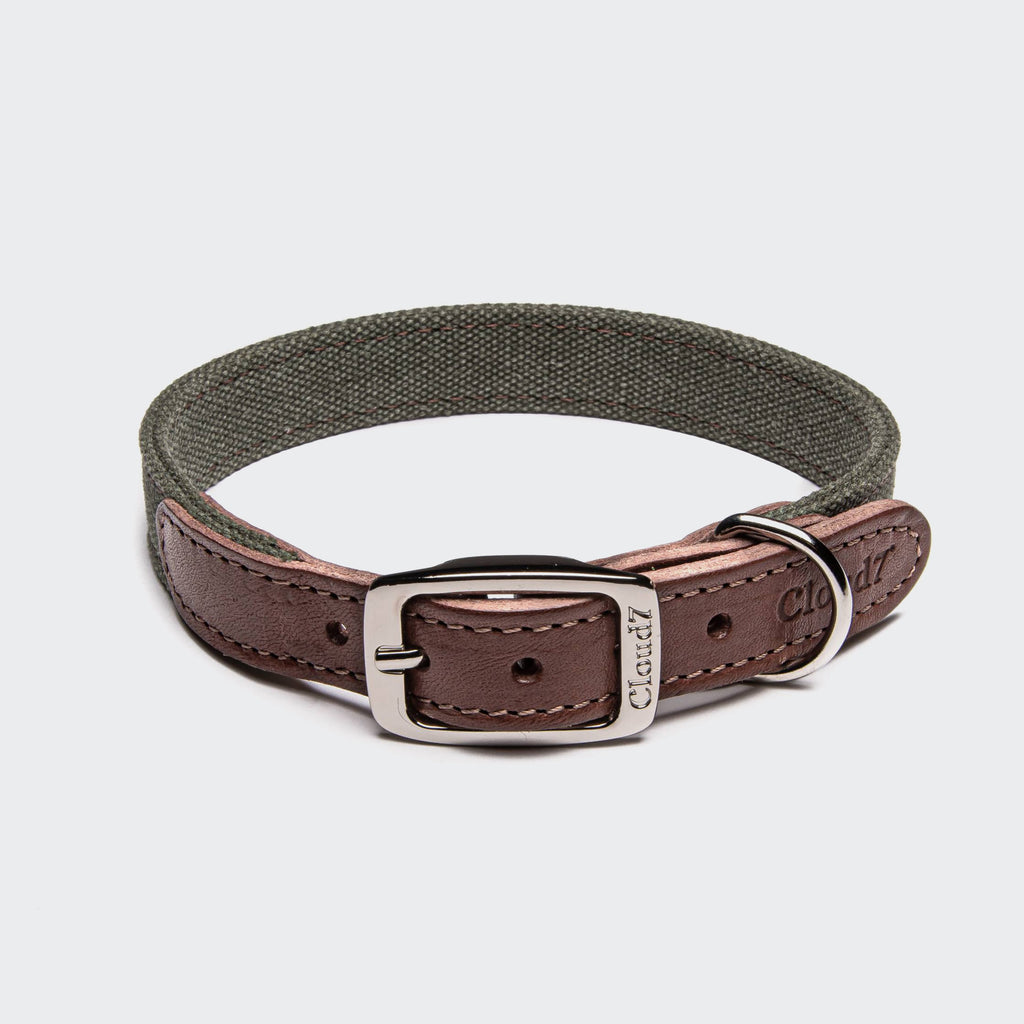Dog Collar Tivoli Olive product image