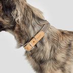 Dog Collar Tivoli Greige product image