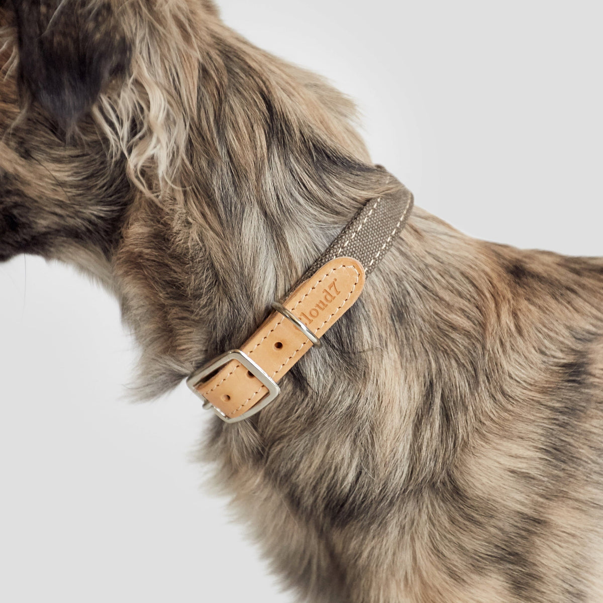 Dog Collar Tivoli Greige product image