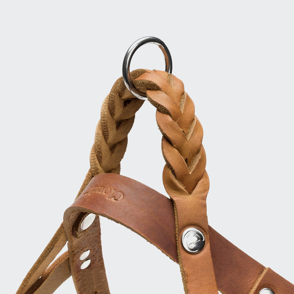 Harness Central Park Camel Silver product image