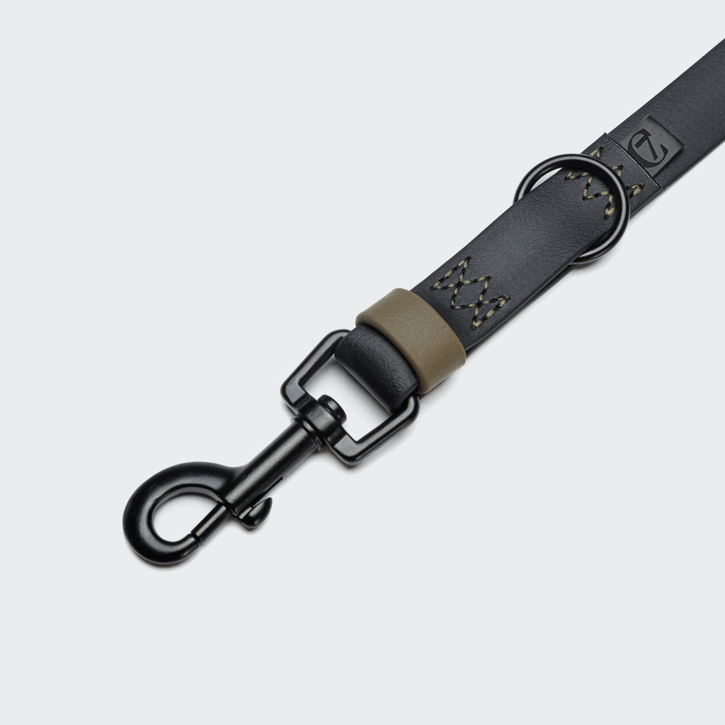 Adjustable Dog Leash BioThane Ipanema Black-Olive product image