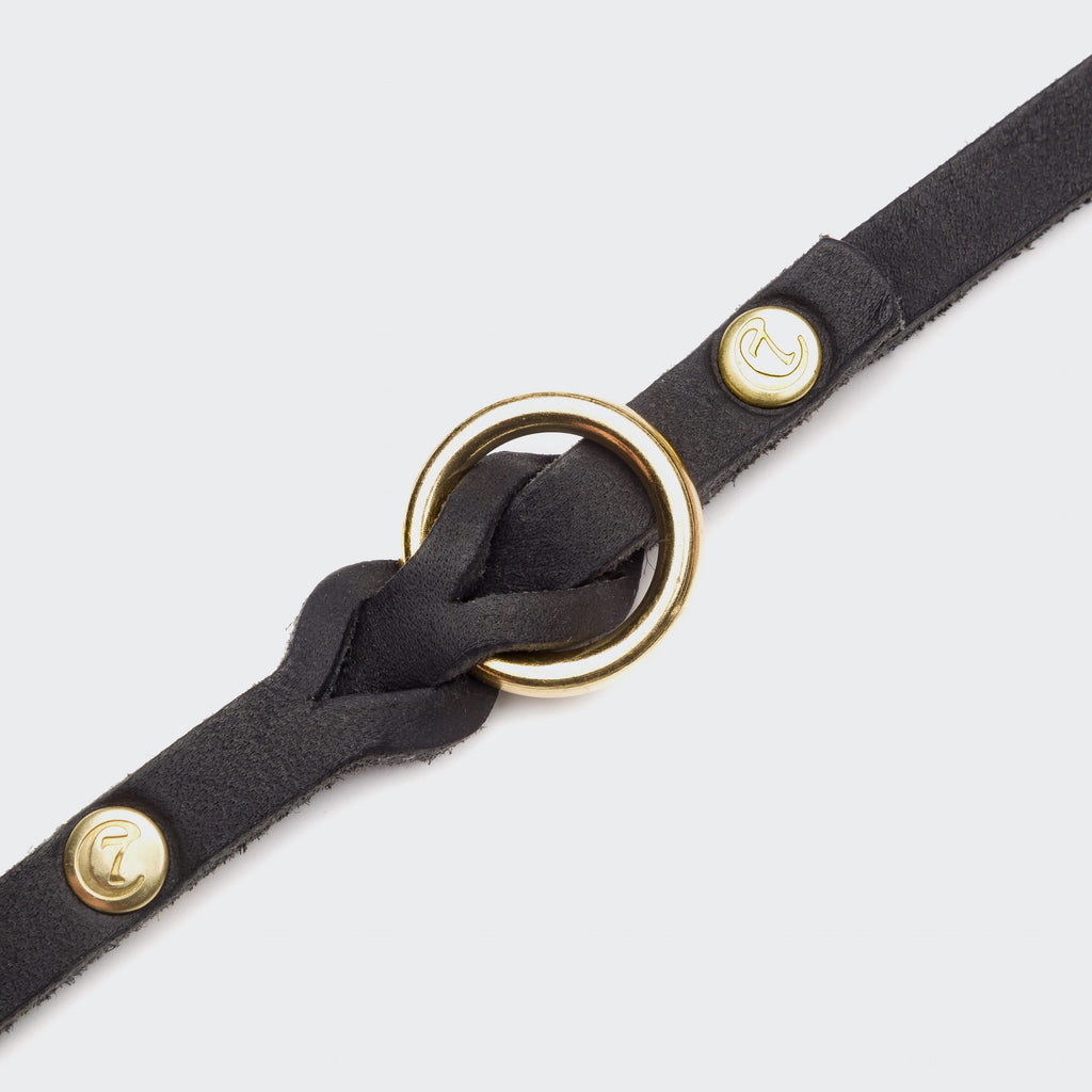 Dog Leash Riverside Park Black Gold product image