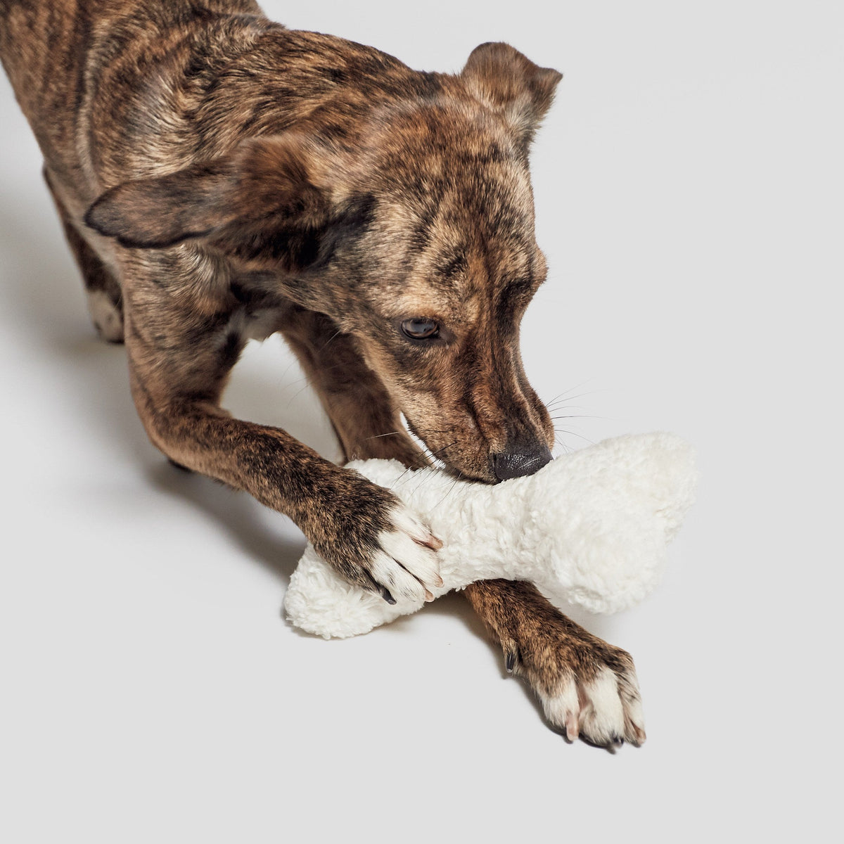 Love Bone Nature White Plush product image
