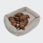 Dog Bed Sleepy Deluxe Teddy product image
