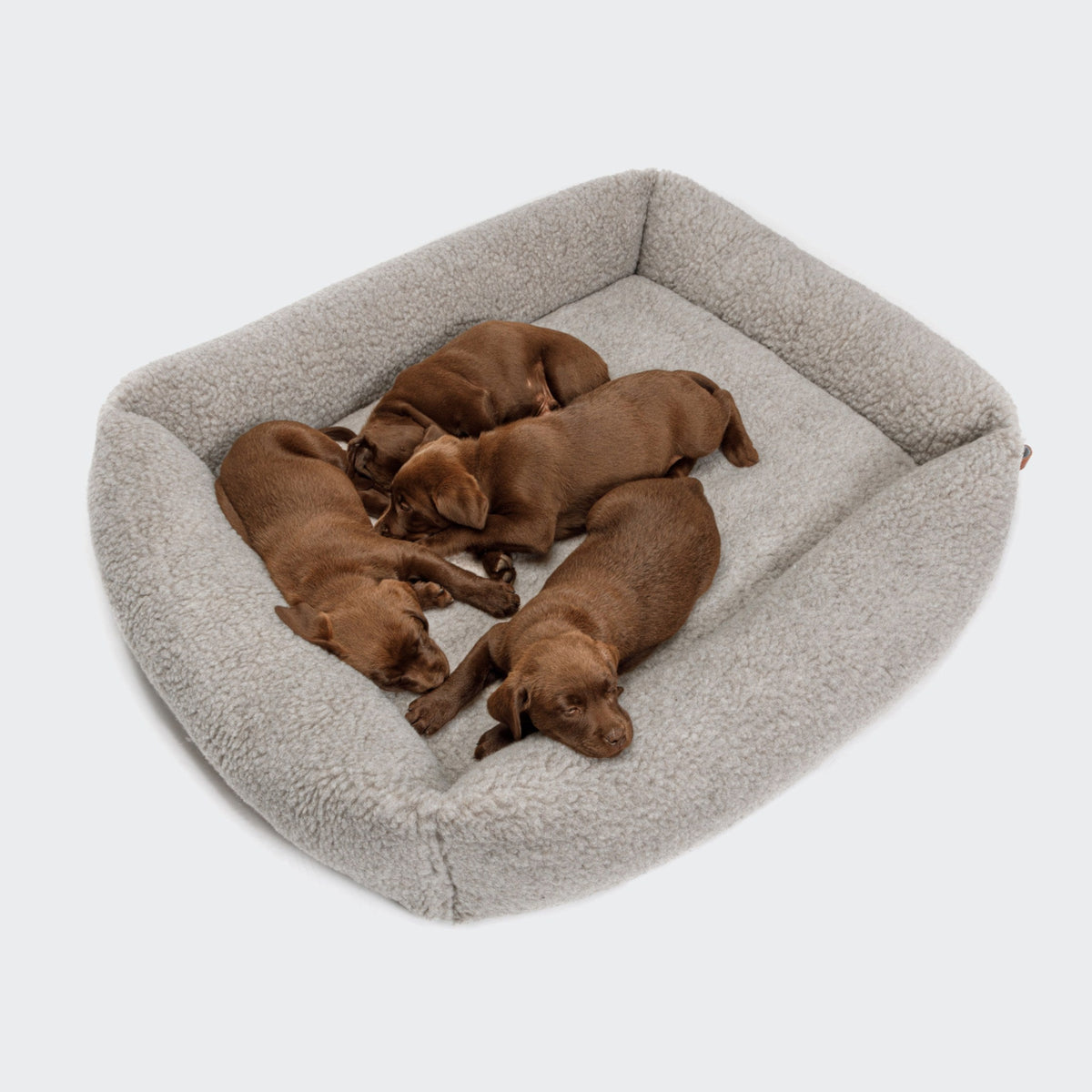 Dog Bed Sleepy Deluxe Teddy product image