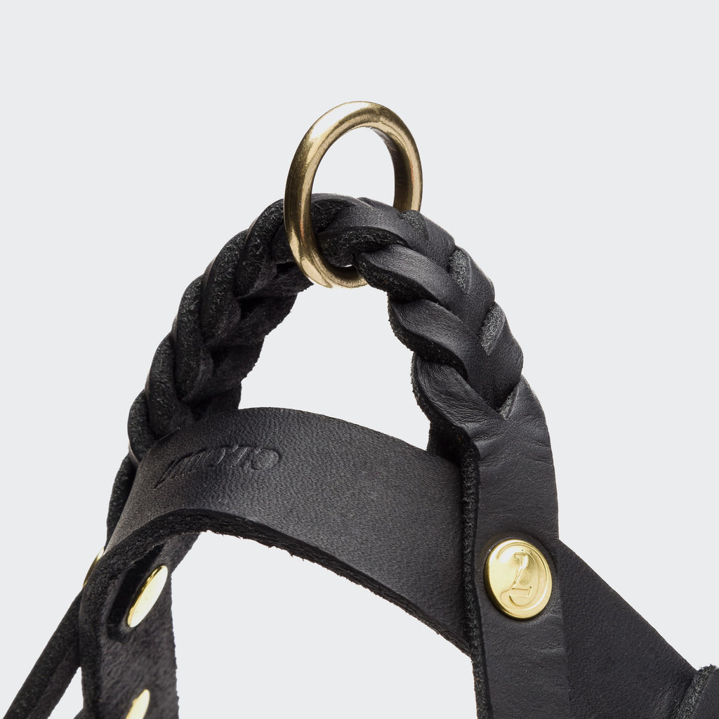 Dog Harness Central Park Black Gold product image