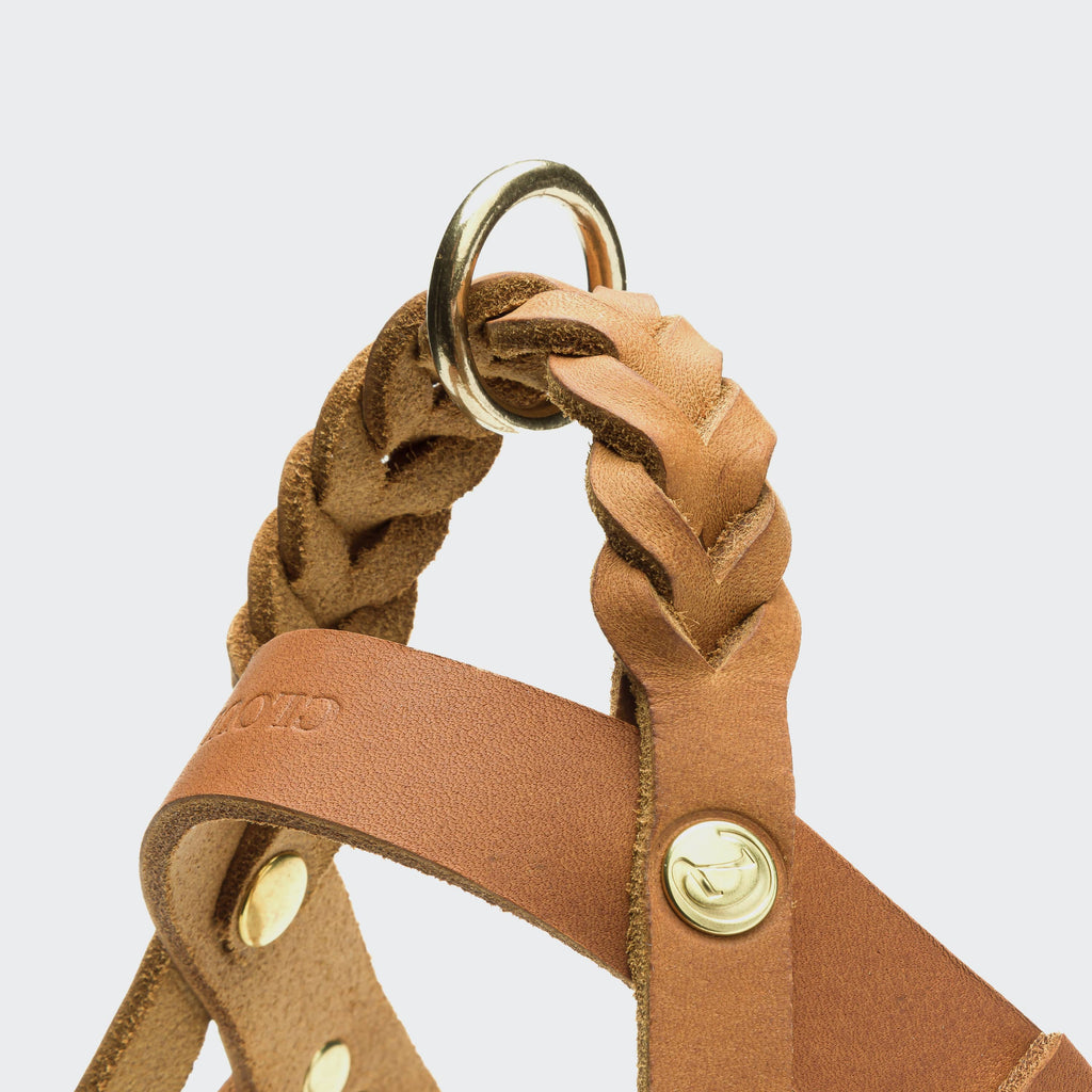 Dog Harness Central Park Camel Gold product image