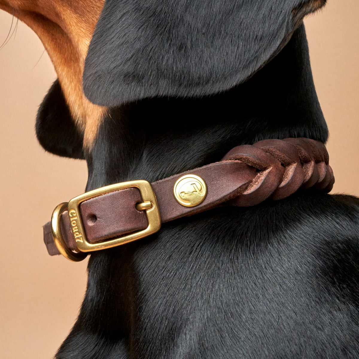 Dog Collar Central Park Saddle Brown Gold product image