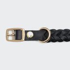 Dog Collar Central Park Black Gold product image
