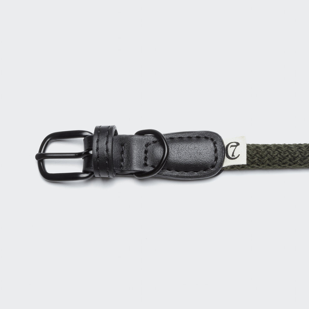 Dog Collar Mauerpark Olive product image