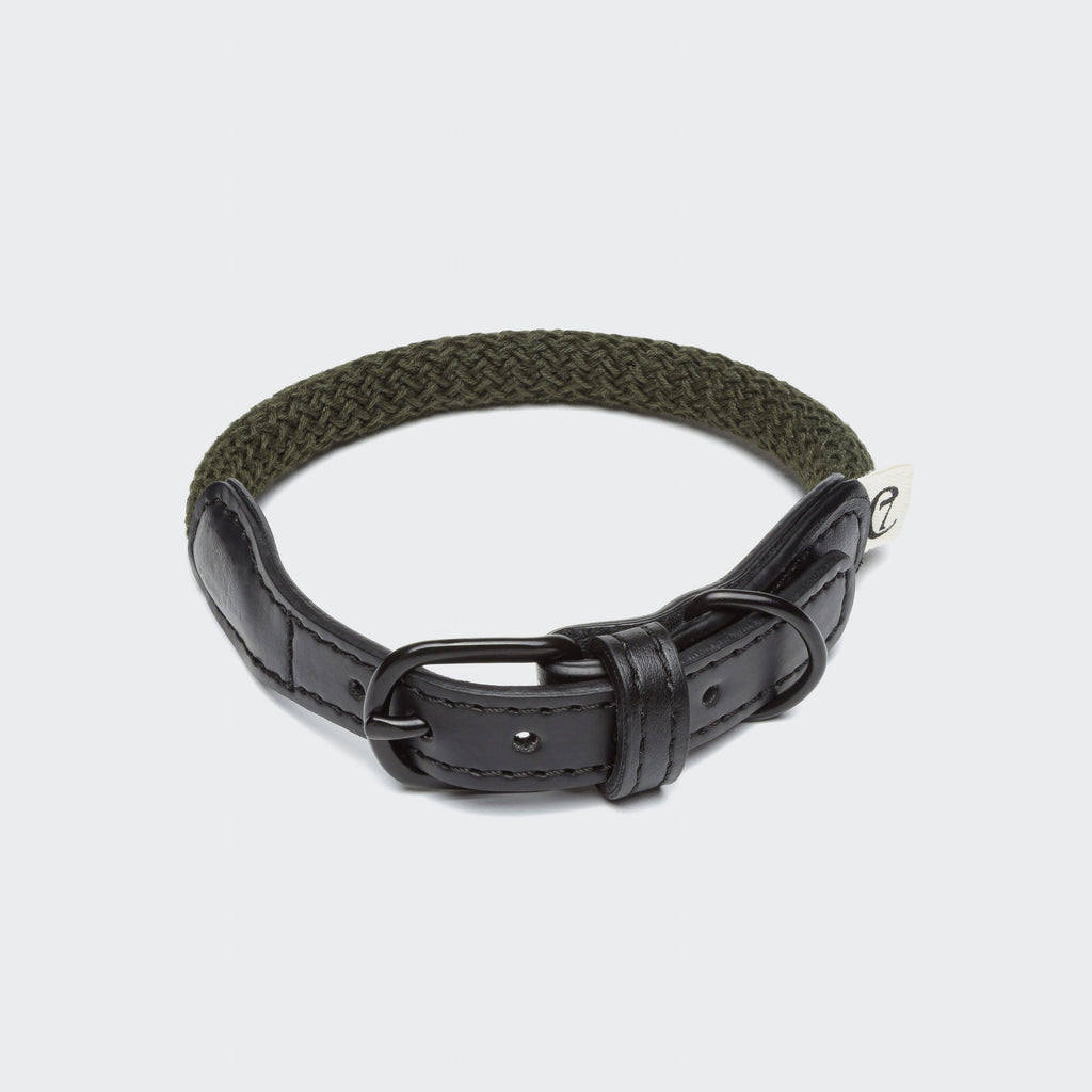 Dog Collar Mauerpark Olive product image
