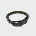 Dog Collar Mauerpark Olive product image