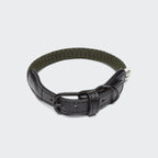 Dog Collar Mauerpark Olive product image