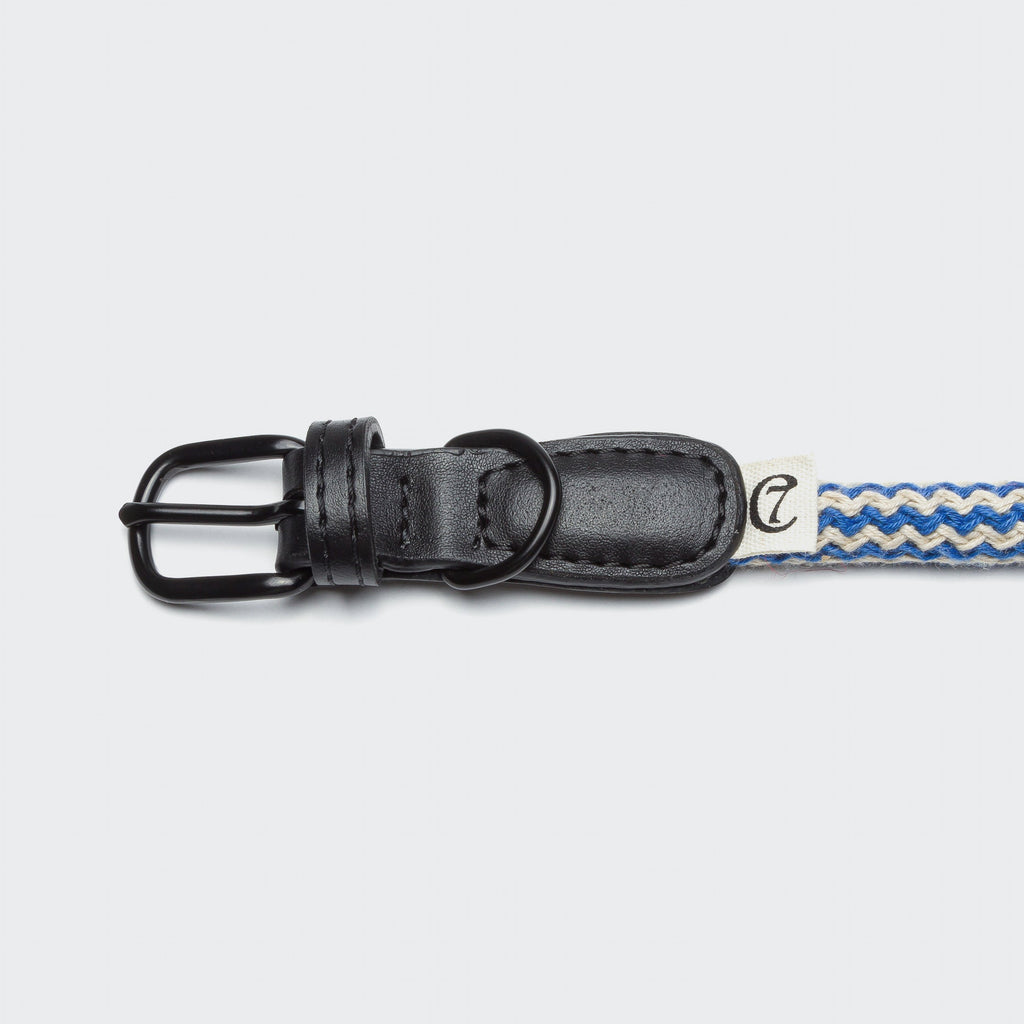 Dog Collar Mauerpark Zigzag Blue product image