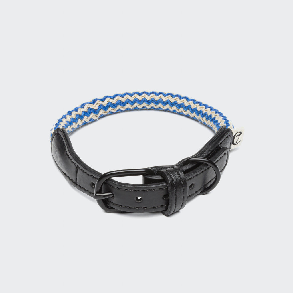 Dog Collar Mauerpark Zigzag Blue product image