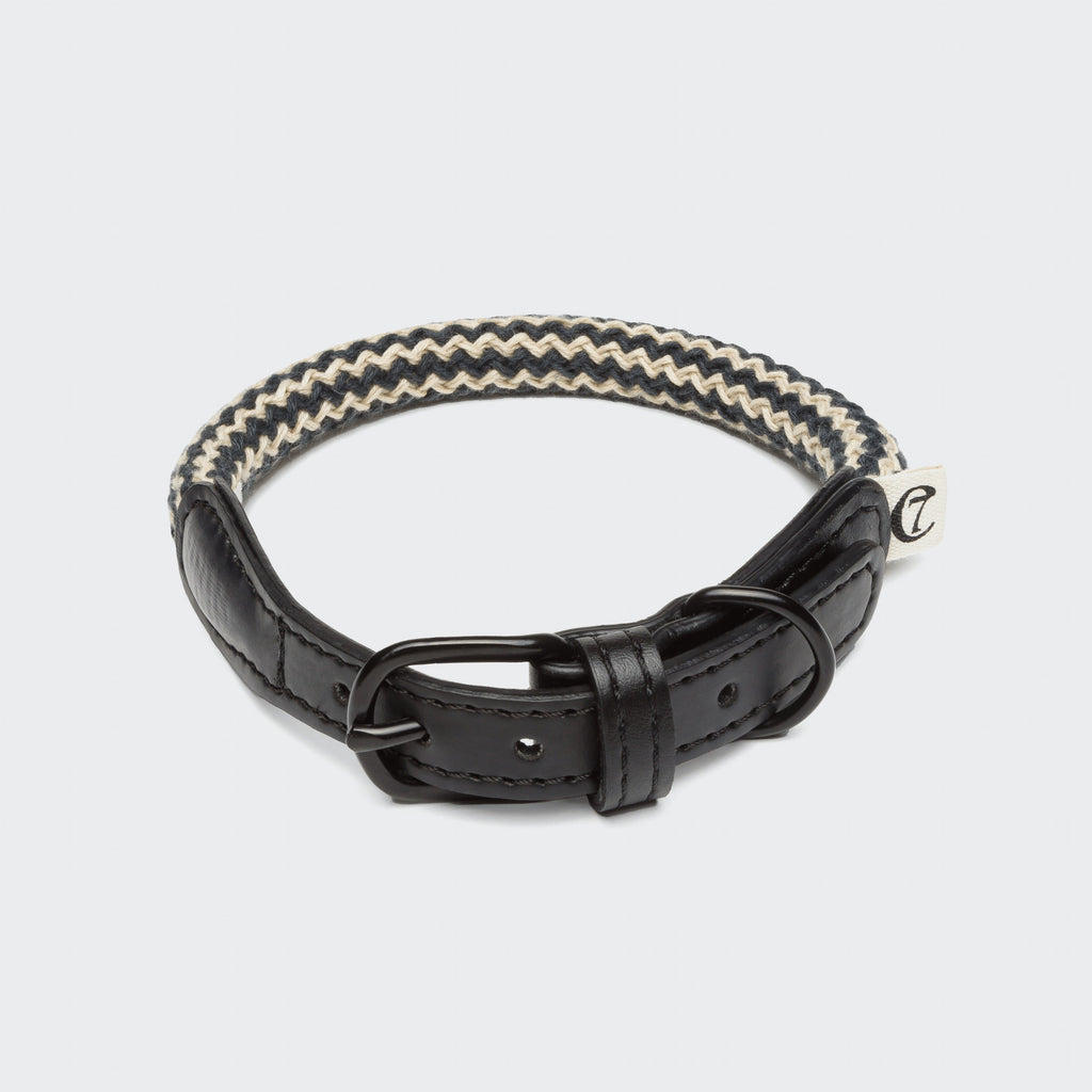 Dog Collar Mauerpark Zigzag Black product image