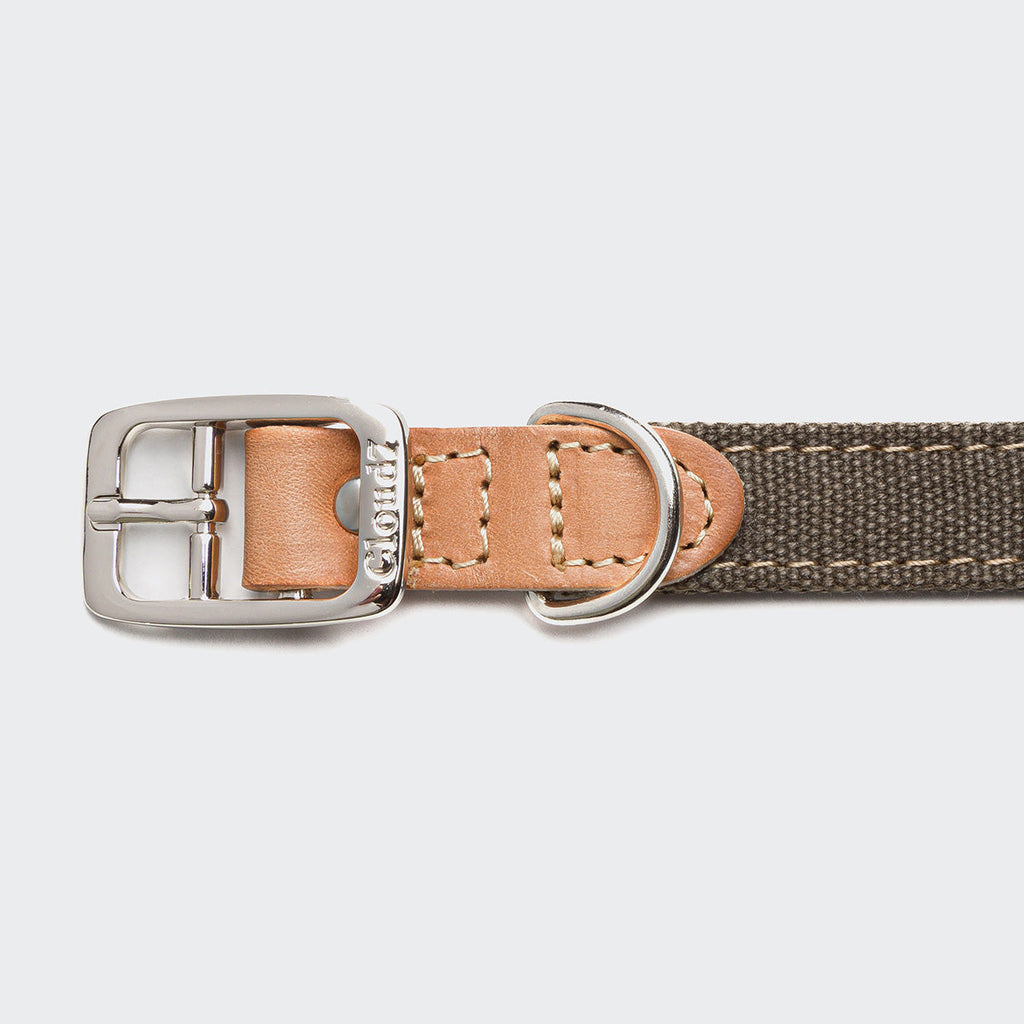 Dog Collar Tivoli Greige product image