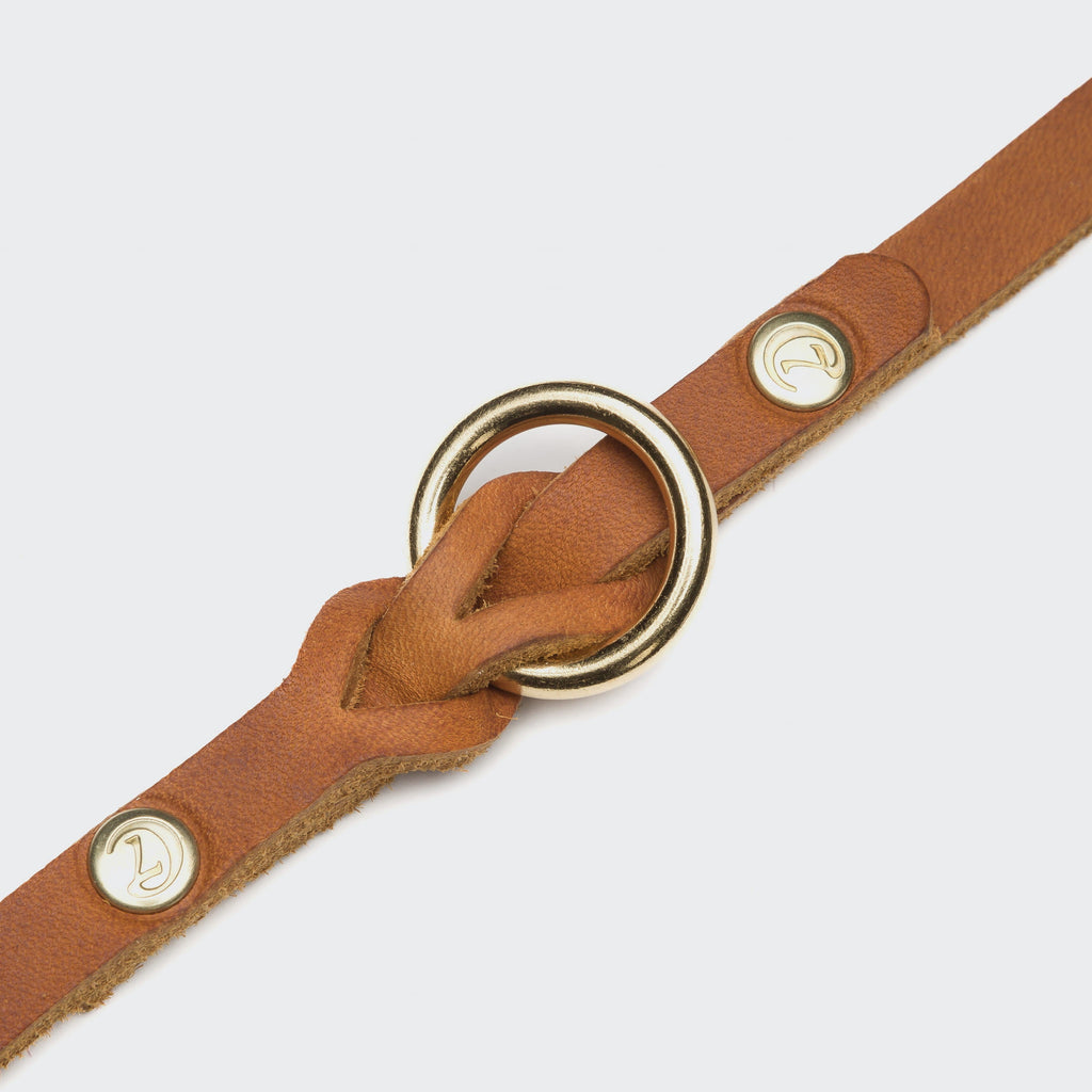 Dog Leash Riverside Park Camel Gold product image