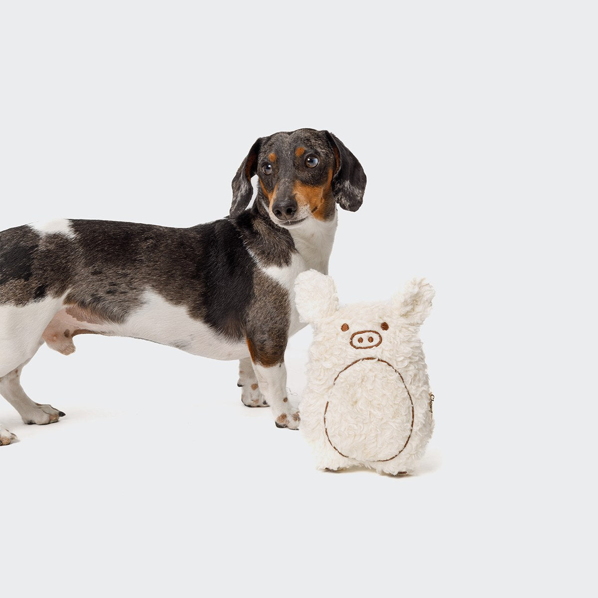 Dog Toy Piglet Harry product image