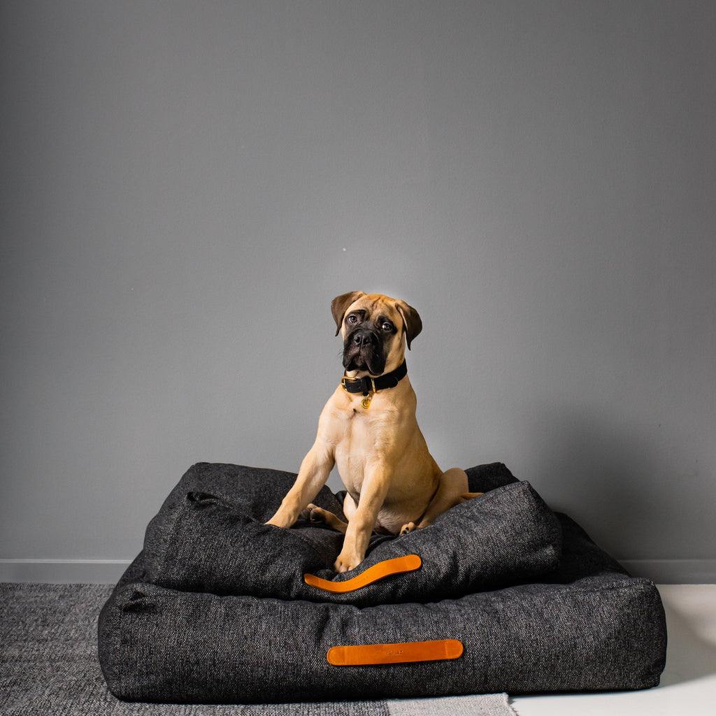 Dog Bed Homey Mélange Anthra product image