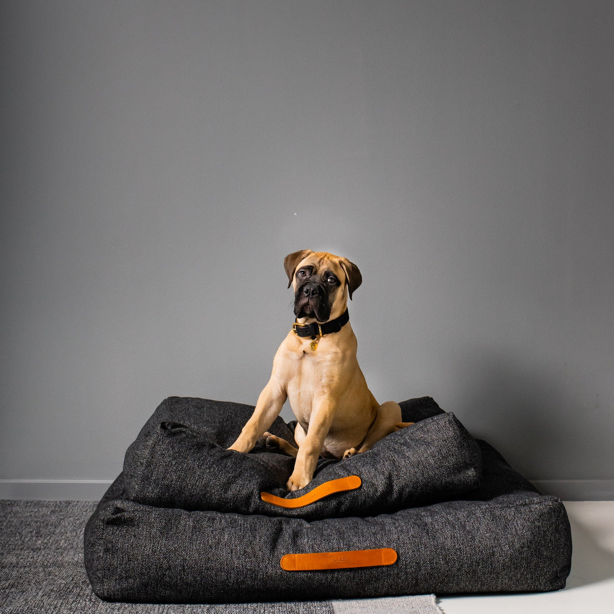 Dog Bed Homey Mélange Anthra product image