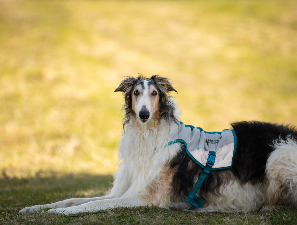 Cooling vest product image