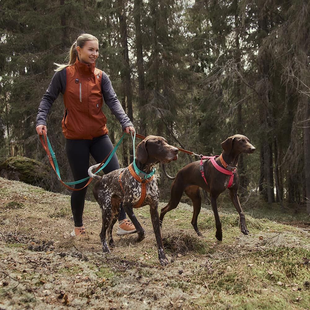 Casual Reflective Leash ECO product image