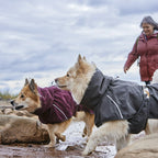 Mudventure Dog Coat ECO product image