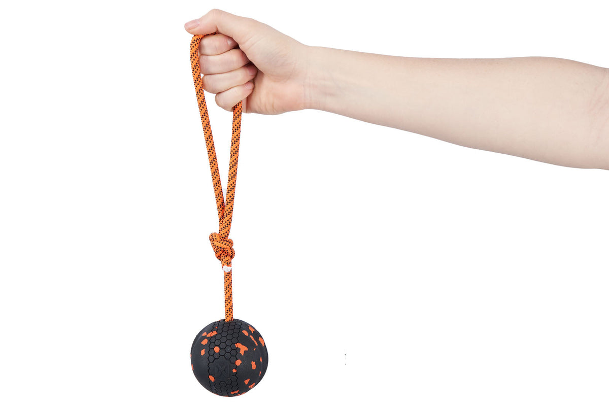 Dog ball on rope product image