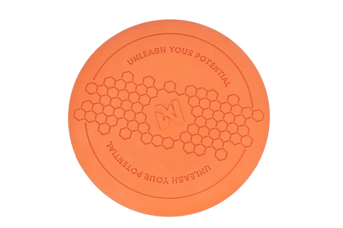 Dog flying disc product image